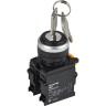 Переключатель с ключом на 2 положения IEK MASTER 1NO+1NC чёрный MI-SW60-11Y-3-34-2-K02
